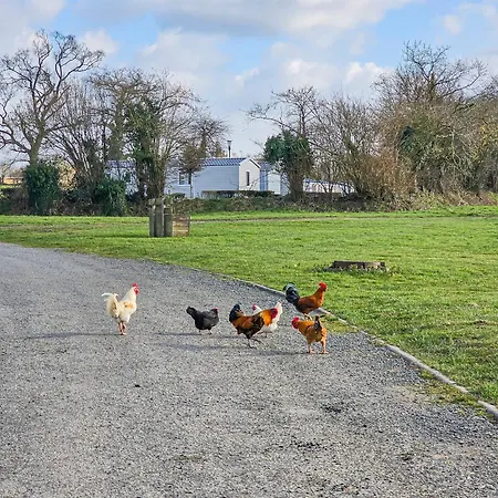 L'horizon Du Bonheur