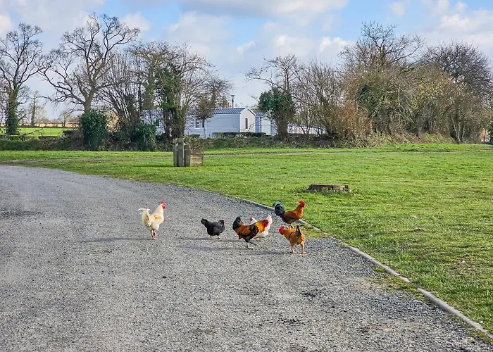 L'horizon Du Bonheur